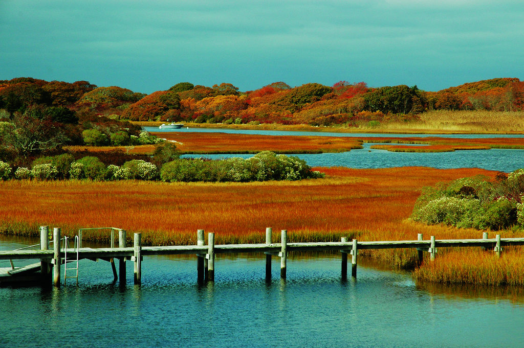 Martha's Vineyard Campground