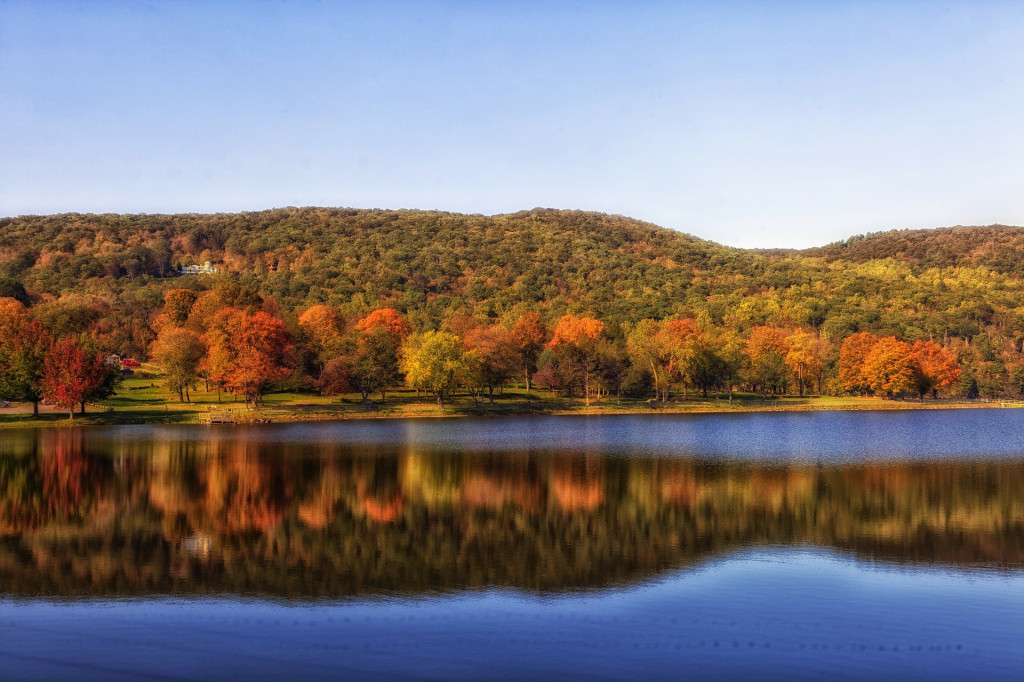 Autumn trees Connecticut