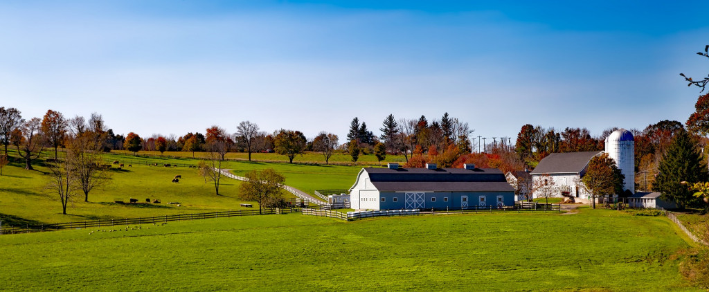 Connecticut countryside