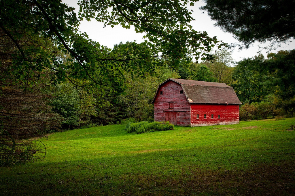 Barn
