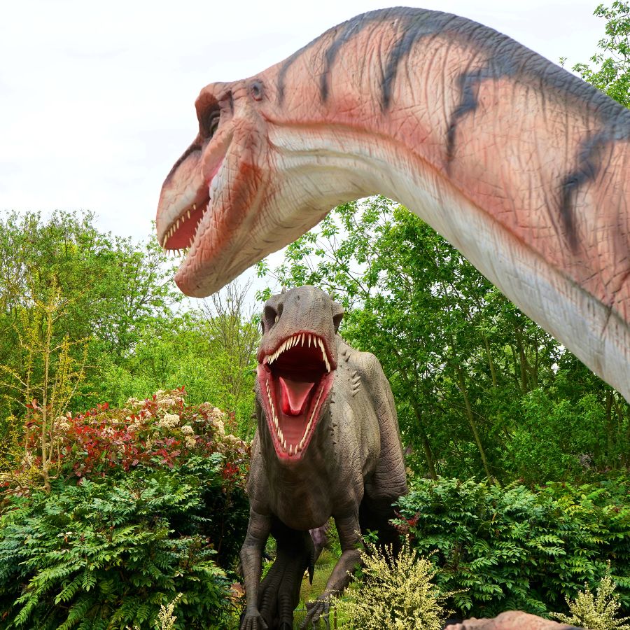 Dinosaur State Park